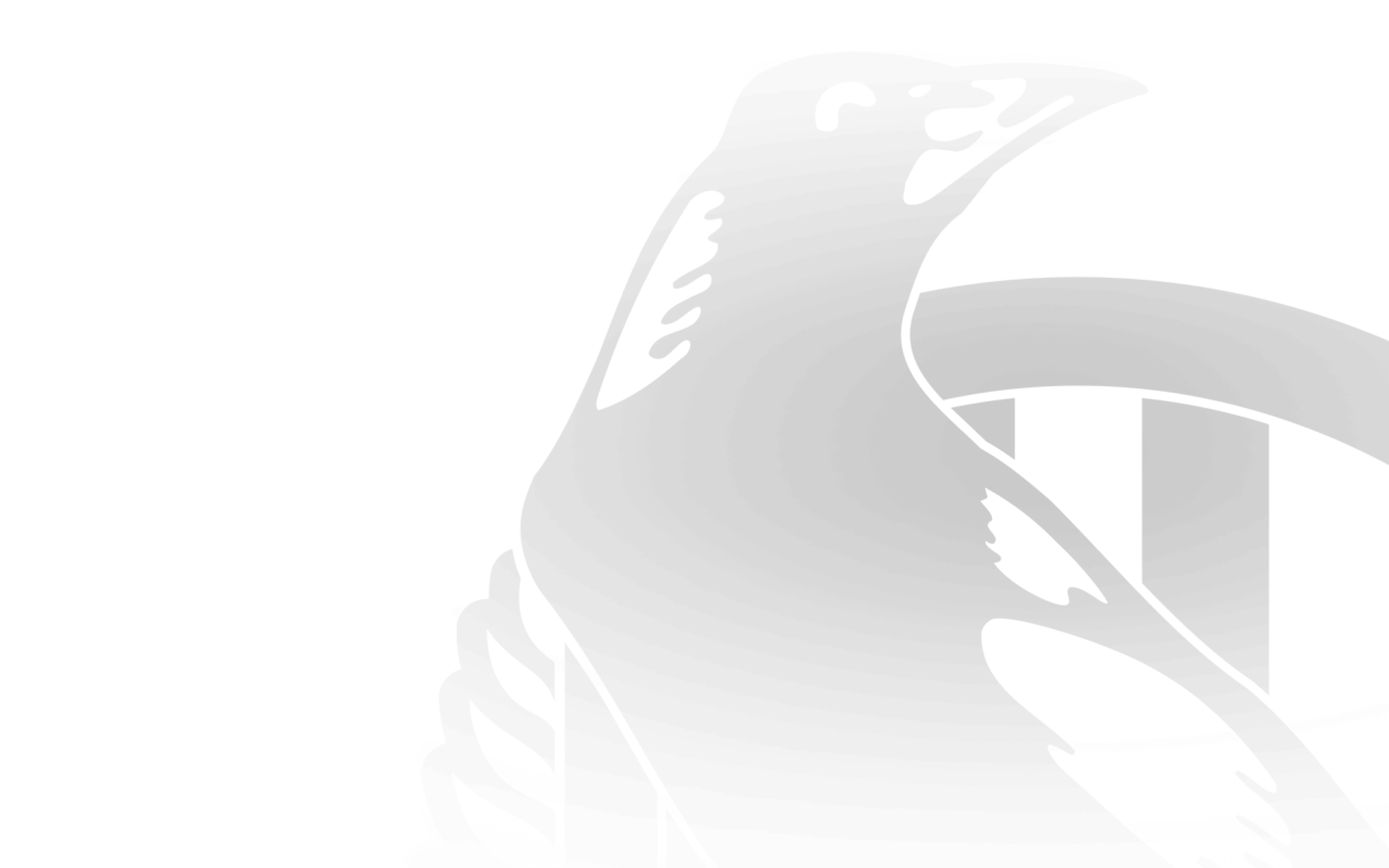 AFL 2024 Grand Final Sydney v Brisbane