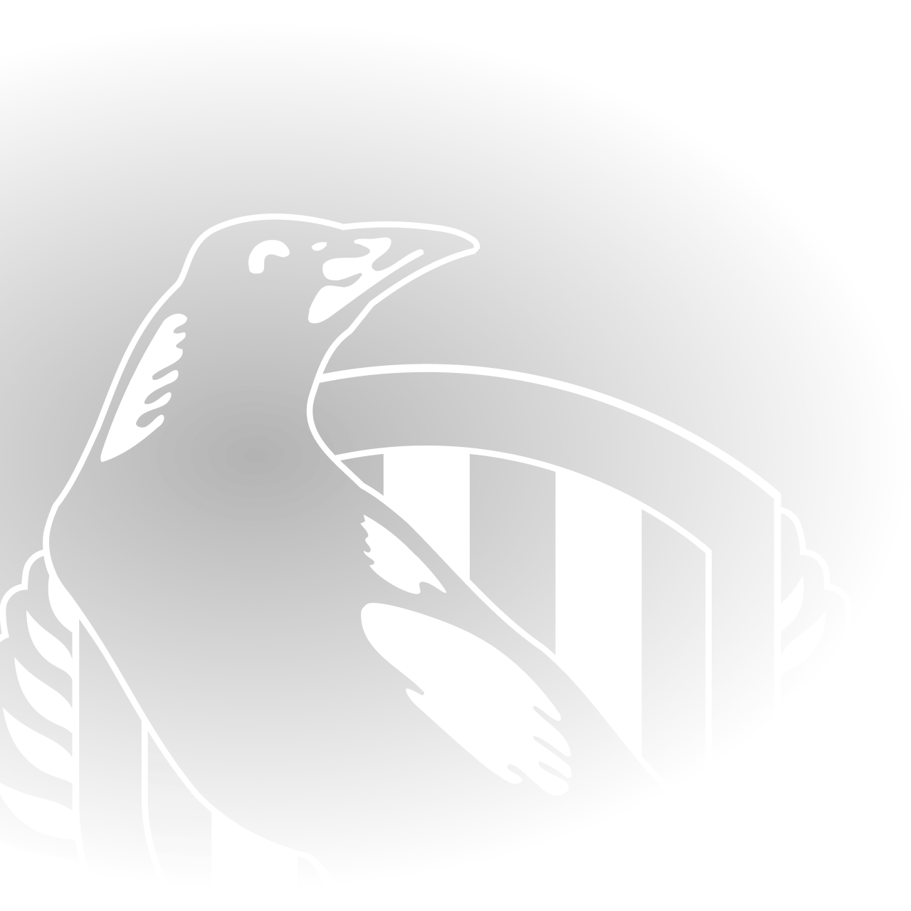 official-afl-website-of-the-collingwood-football-club
