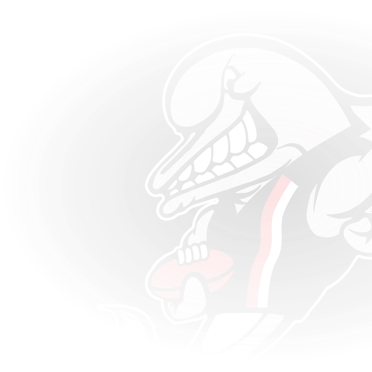 Official AFL Website of the Collingwood Football Club